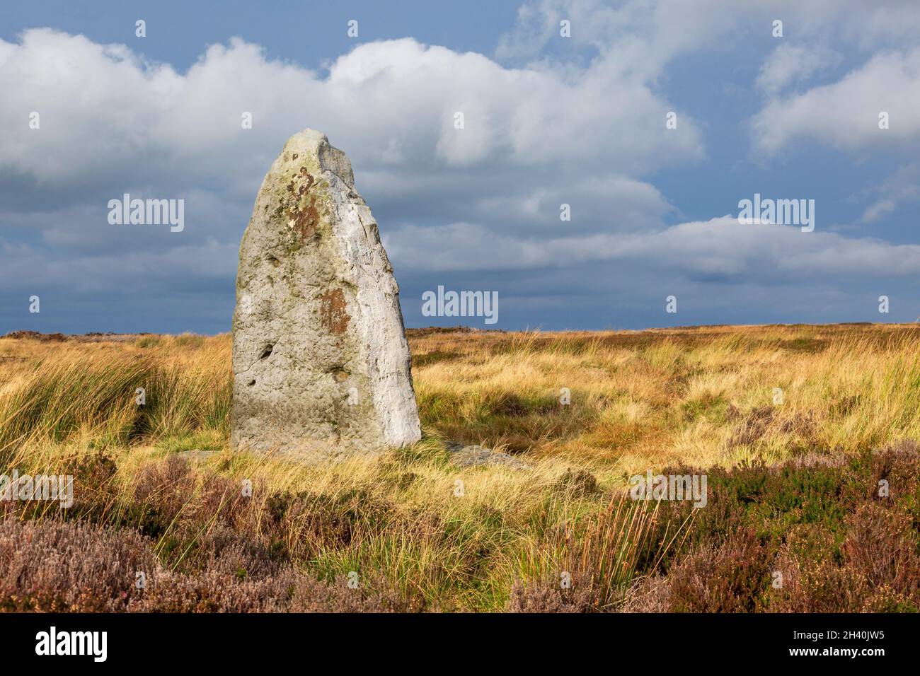 La pietra di Millenium su Danby High Moor nel North York Moors Nation Park, Yorkshire, Inghilterra Foto Stock