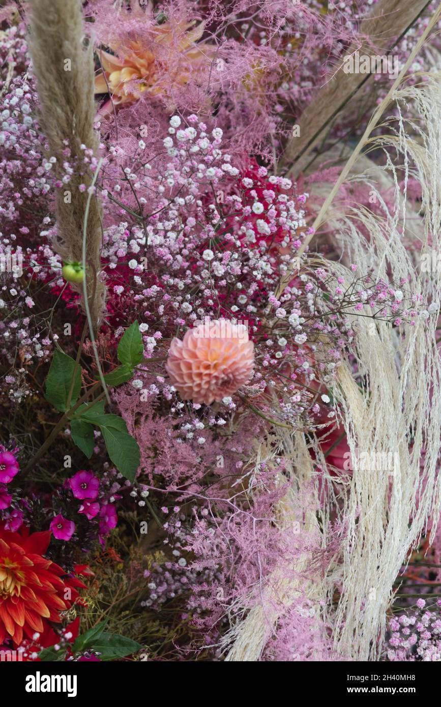 Chelsea in fiore fiori 2021 Foto Stock