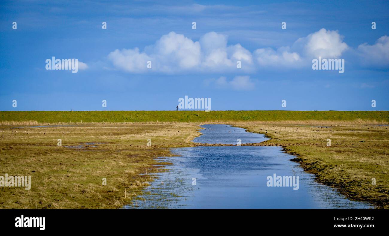Un'unica figura non identificata può essere vista sull'orizzonte piatto di una parete di mare sotto le nuvole di tempo fiera con un lungo stagno di paludi in primo piano. Foto Stock