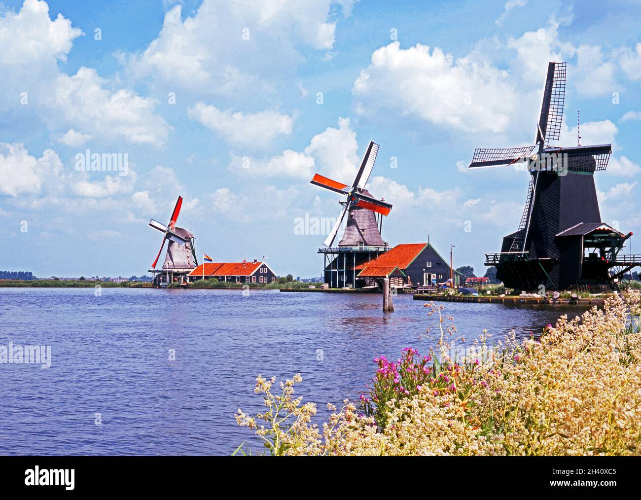 Tre mulini a vento sulle rive del fiume Zaan, Zaanse Shans, Olanda, Paesi Bassi, Europa. Foto Stock