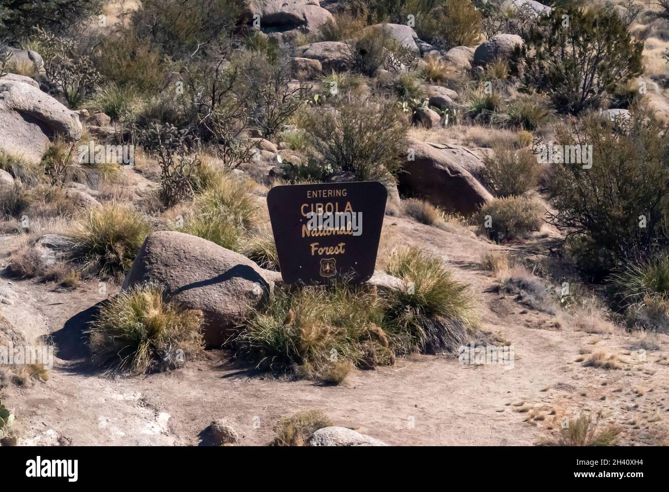 Segno segna la foresta nazionale di Cibola ad Albuquerque, New Mexico Foto Stock