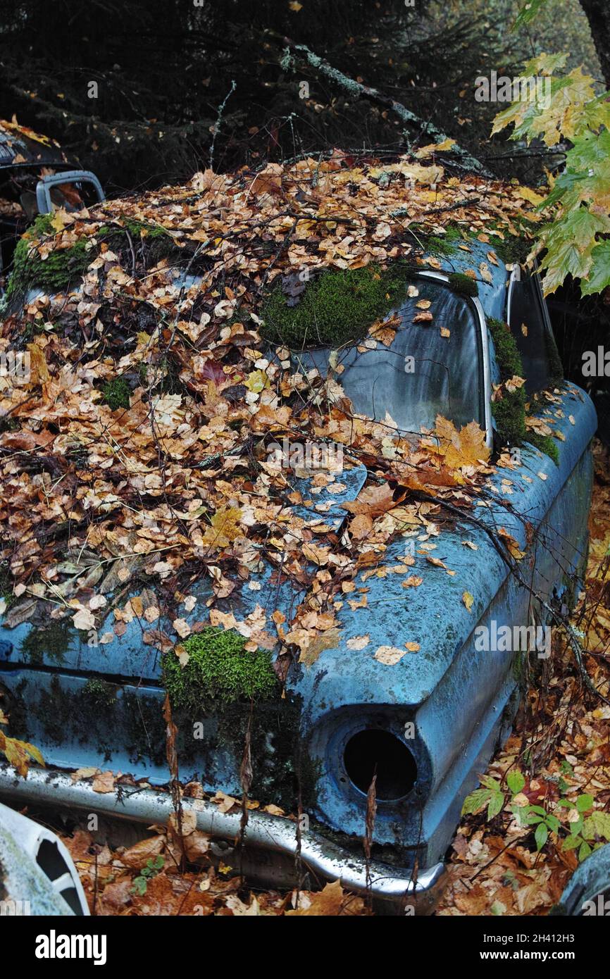 Cimitero di Bastnäs nel mese di ottobre Foto Stock