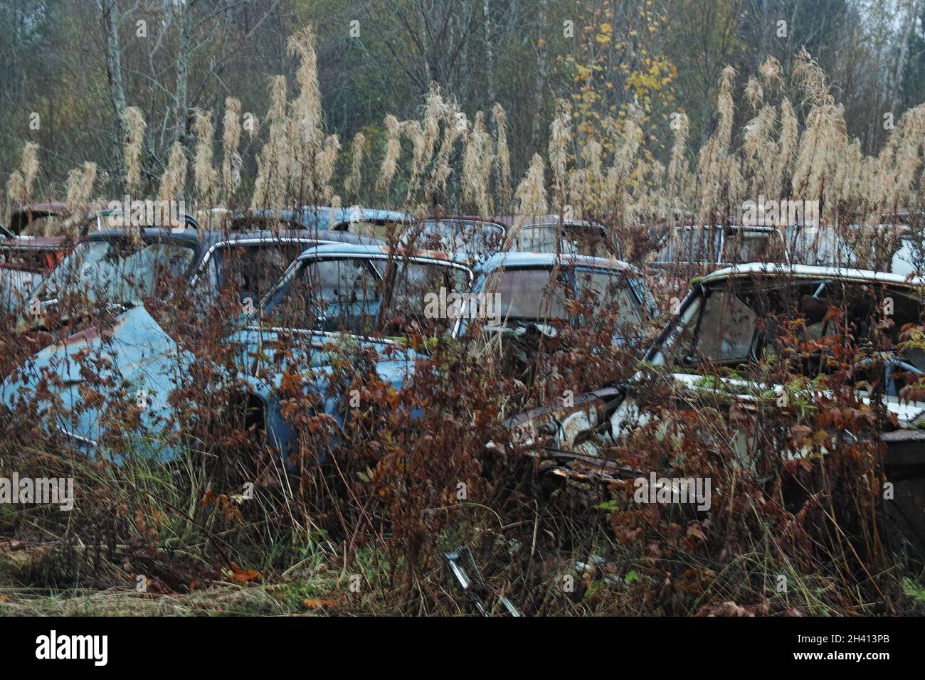 Cimitero di Bastnäs nel mese di ottobre Foto Stock