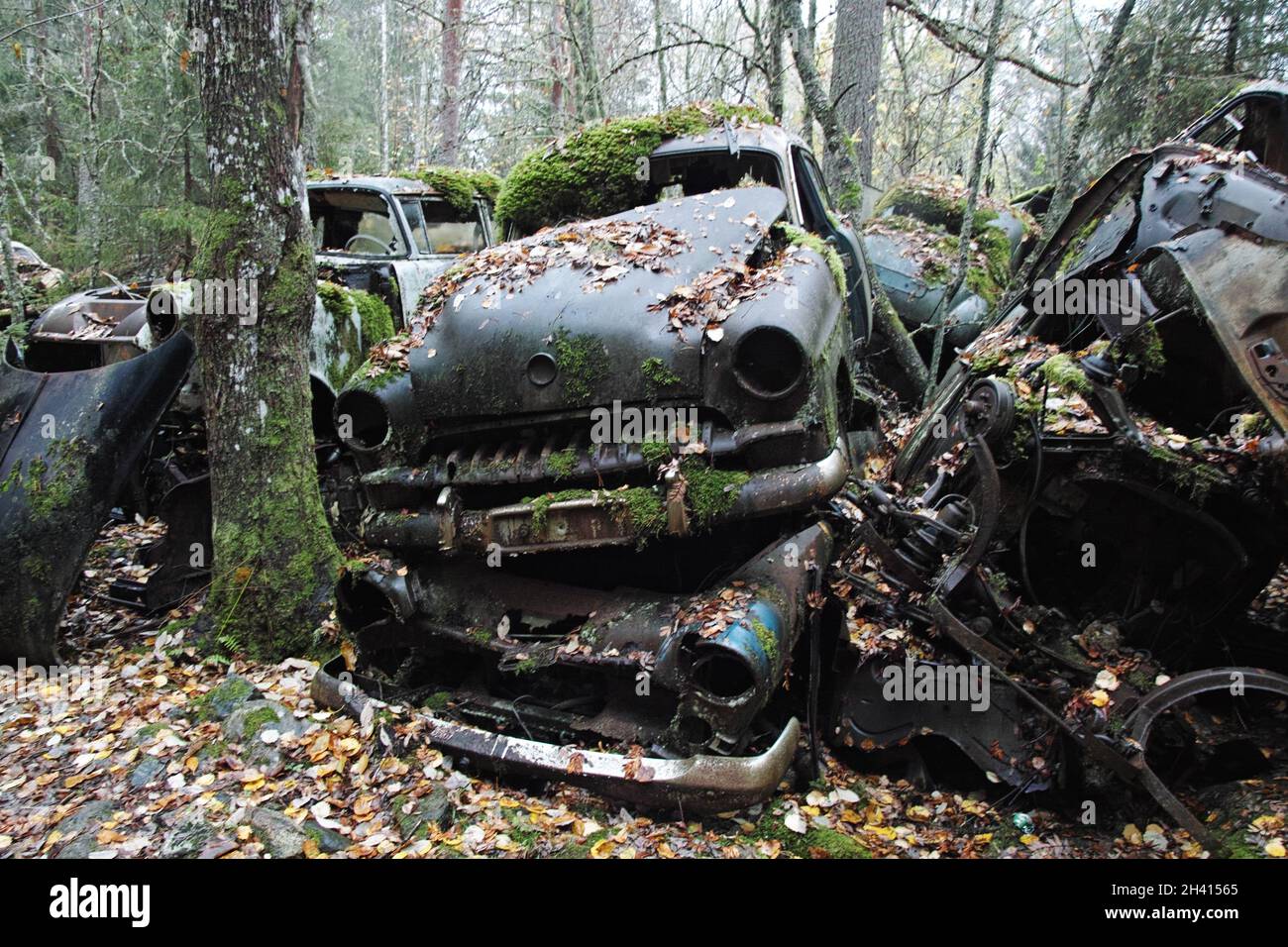 Cimitero di Bastnäs nel mese di ottobre Foto Stock