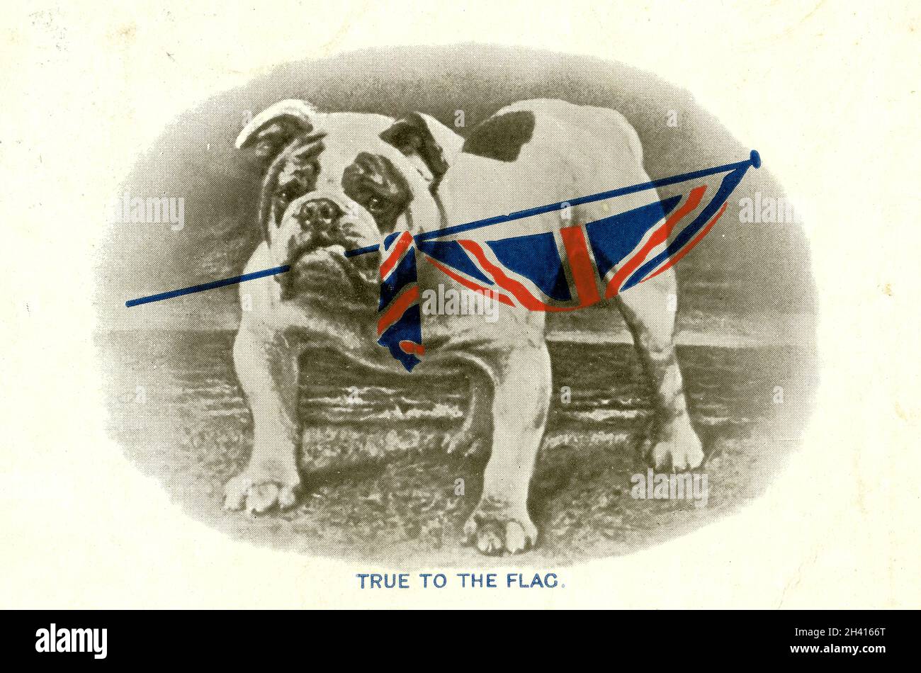 Cartolina originale dell'era WW1 del bulldog che tiene una bandiera del Jack dell'Unione, allineare alla bandiera, la citazione del Tennyson i Britannici tengono il vostro proprio, da C.W. Faulkner & Co.Ltd London series 1458, posted 19 Oct 1914 Foto Stock