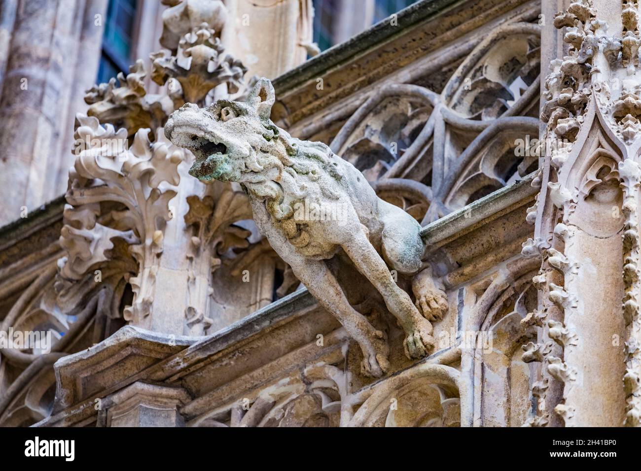 Grotesque gargoyle acqua beccuccio scultura sulla facciata della gotica medievale Cattedrale di Santo Stefano o Stephansdom a Vienna, Austria Foto Stock