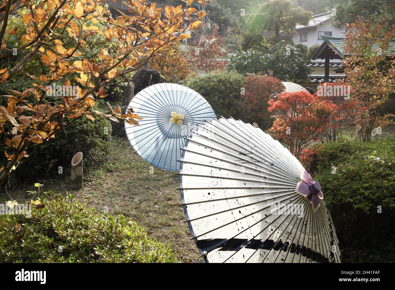 iida, nagano, giappone 2021-31-10 , Ajimagasa ha realizzato gli ombrelli giapponesi di carta evento ed esposizione, dove i produttori tradizionali locali espongono il loro cr Foto Stock