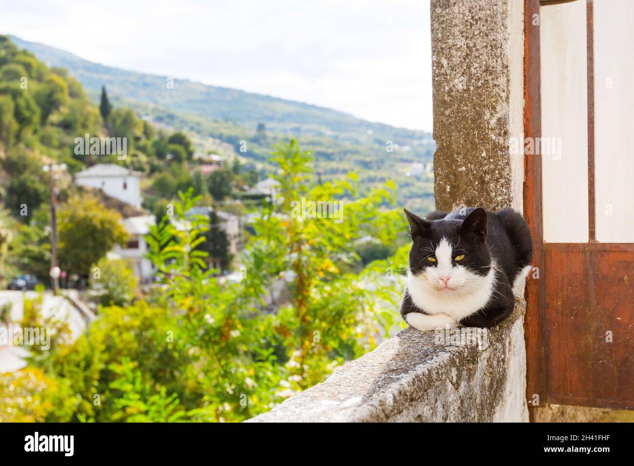 Cat e vista aerea del villaggio greco Foto Stock