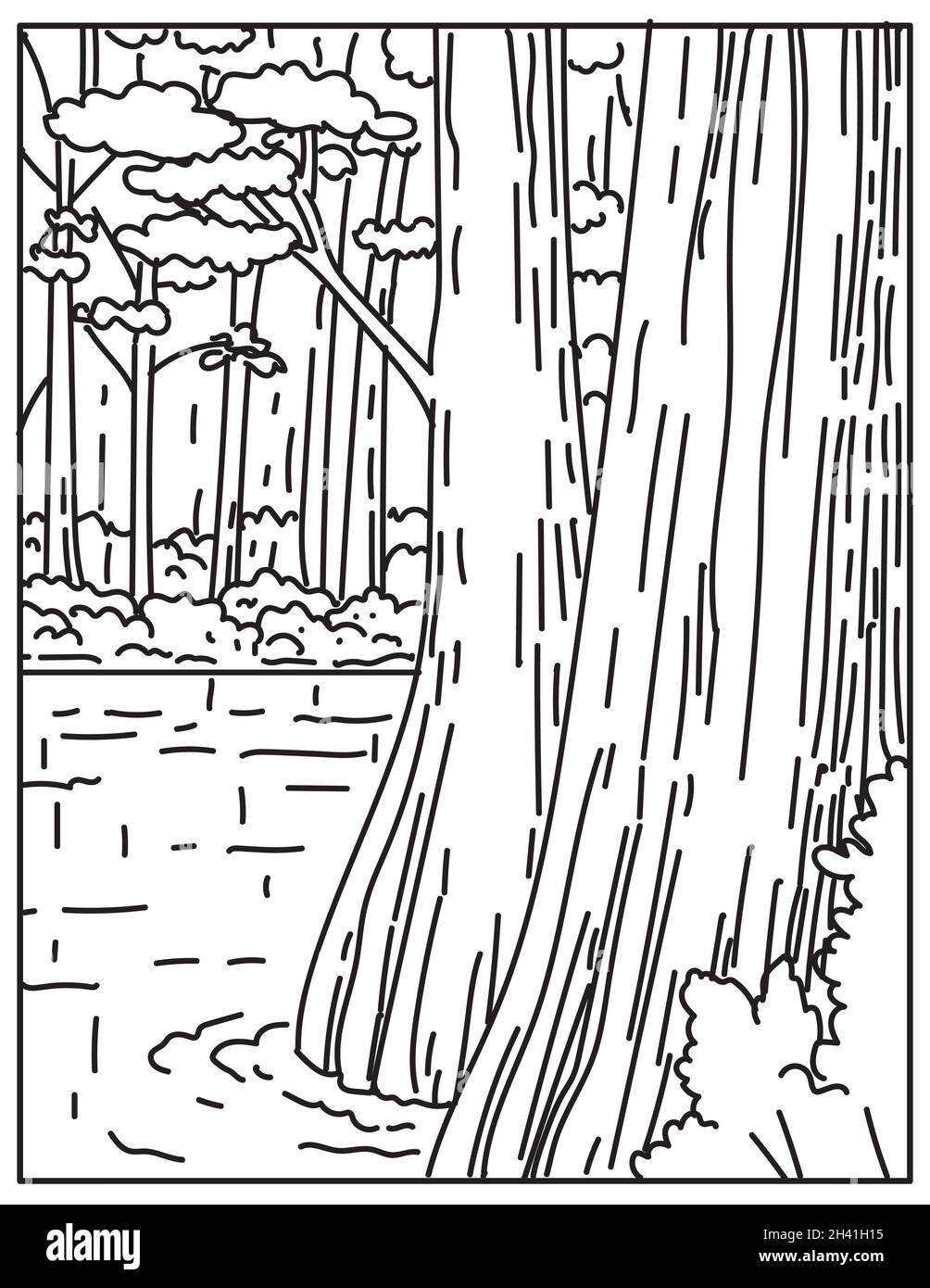 Bottomland Hardwood Forest nel Congaree National Park nel South Carolina centrale USA Mono Line Art Poster Foto Stock