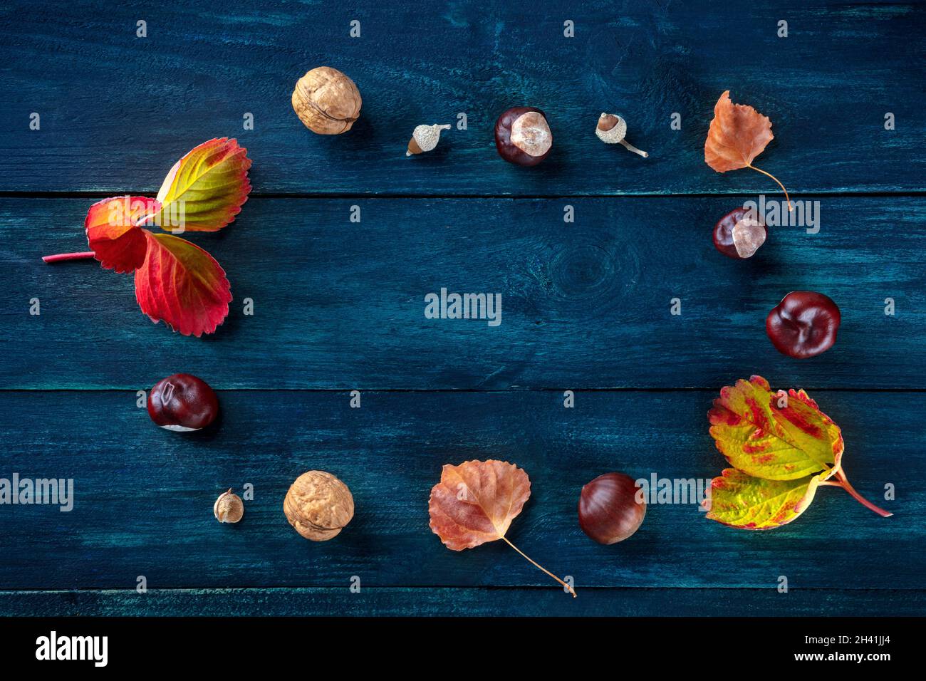 Sfondo autunnale con foglie e castagne vibranti, getto a cielo steso Foto Stock