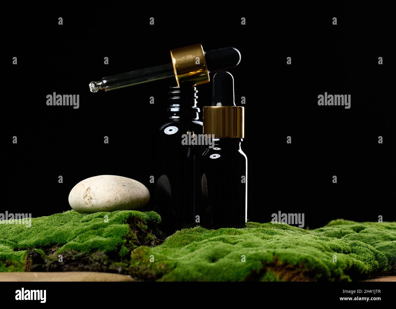 Flacone in vetro nero con portapipette su muschio verde, sfondo nero. Cosmetici SPA branding. Confezione per gel, siero, pubblicità Foto Stock