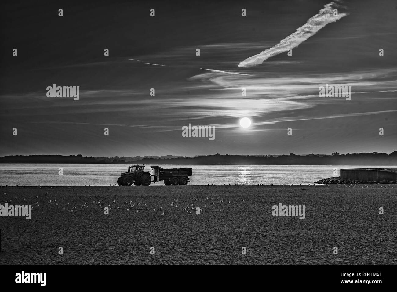 Lavorare sodo la mattina presto Foto Stock