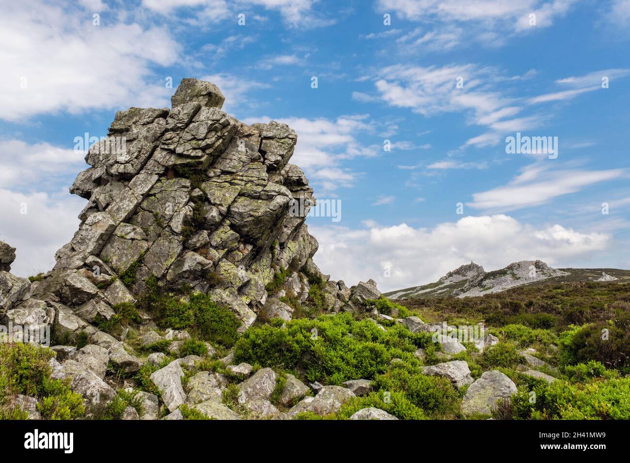 Affioramenti rocciosi di quarzite lungo la cima della collina di Stiperstones. Shropshire, Inghilterra, Regno Unito, Gran Bretagna. La Stiperstones è una Riserva Naturale Nazionale Foto Stock