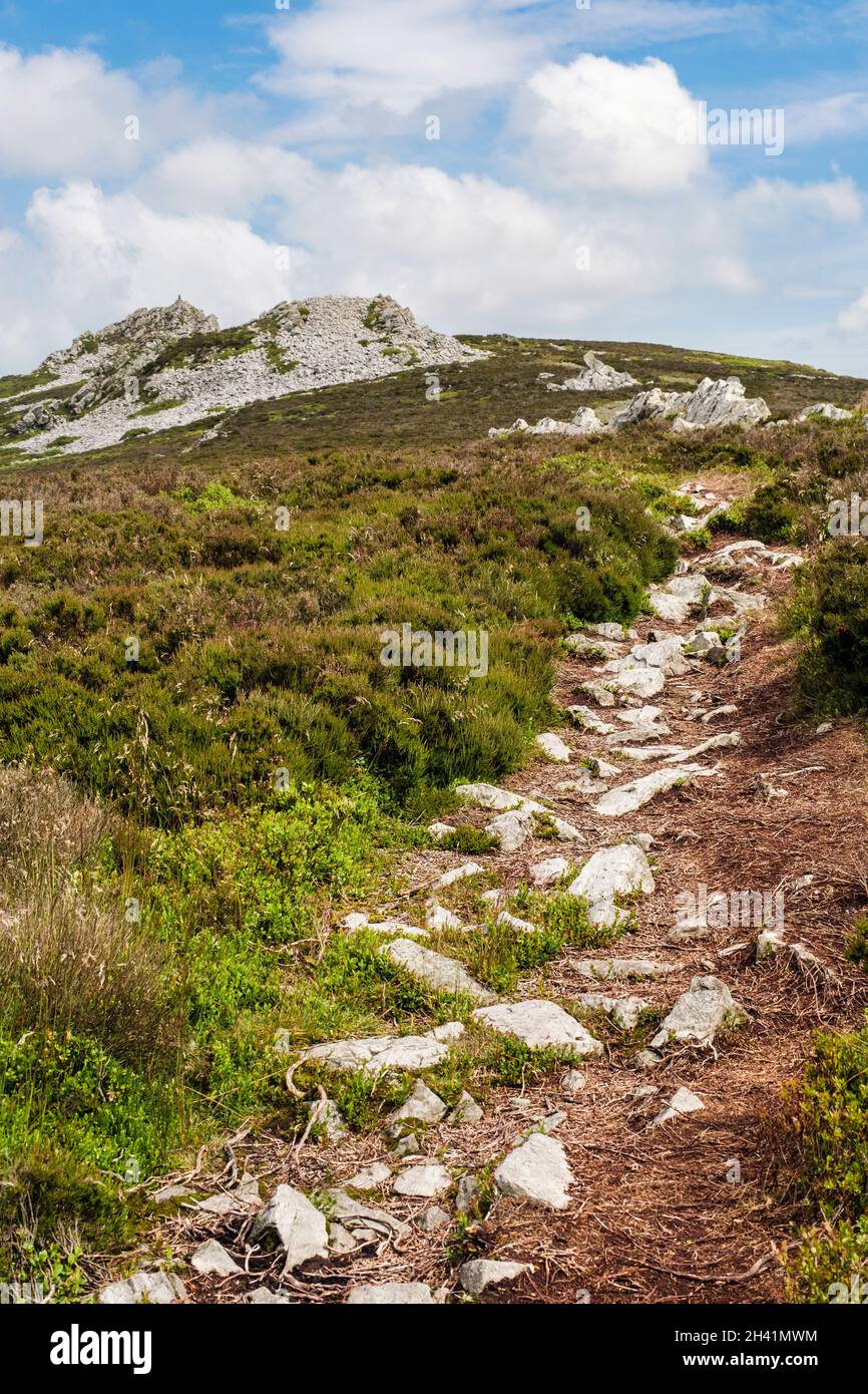 Il percorso Shropshire Way lungo i affioramenti rocciosi di quarzite sulla cima della collina di Stiperstones. Shropshire, Inghilterra, Regno Unito, Gran Bretagna. Foto Stock
