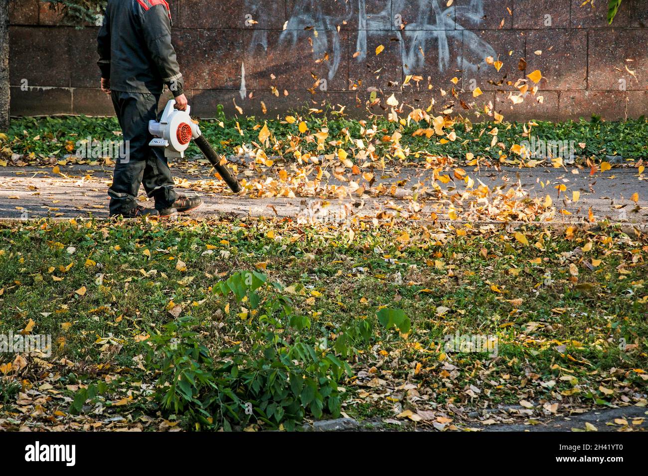 Pulizia foglie secche con un mulino a vento. Un lavoratore municipale pulisce il parco cittadino. Preparazione dei parchi cittadini per l'inverno. Foto Stock