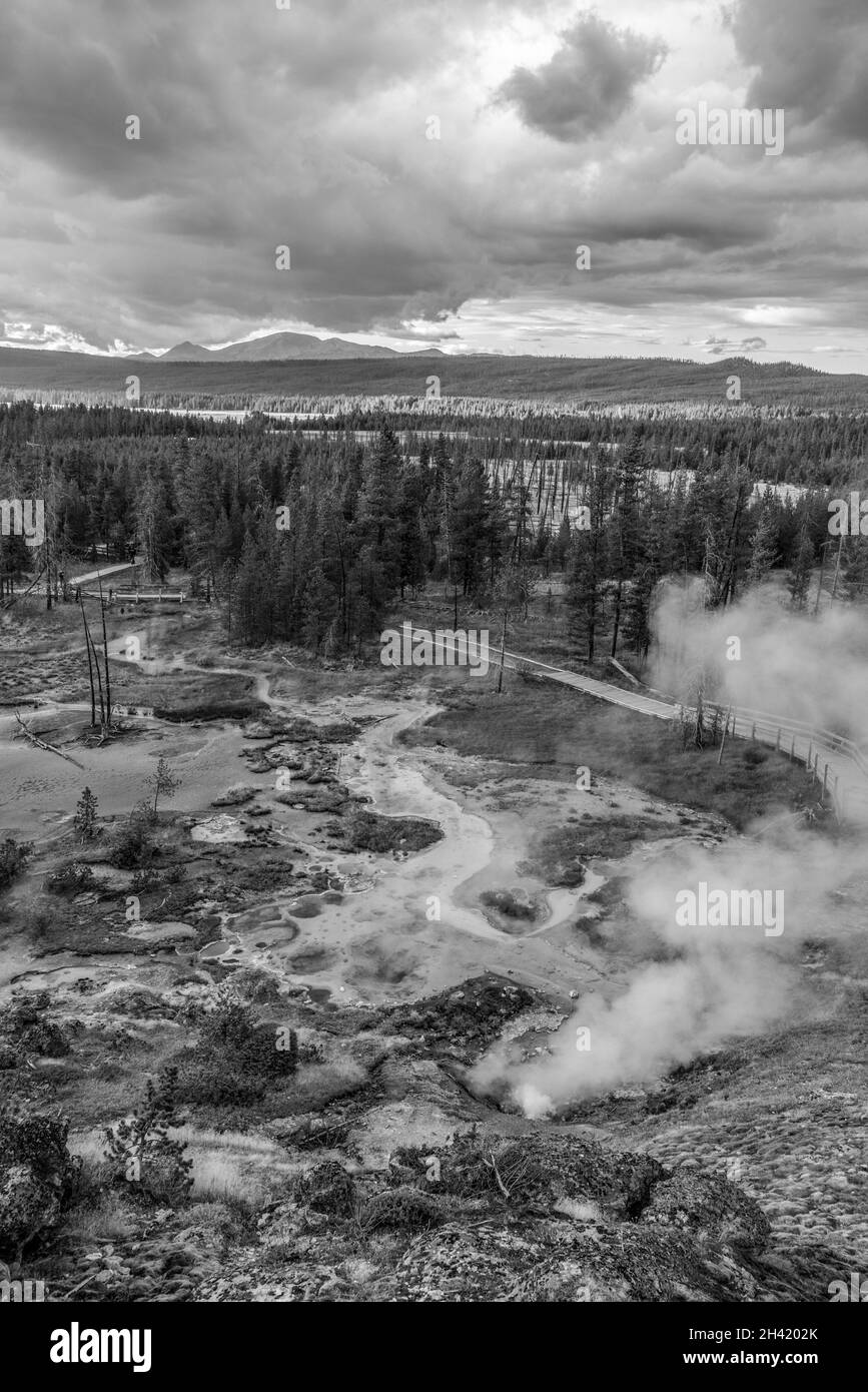 La zona dei pod di fango fumante nel famoso parco nazionale di Yellowstone, Stati Uniti Foto Stock