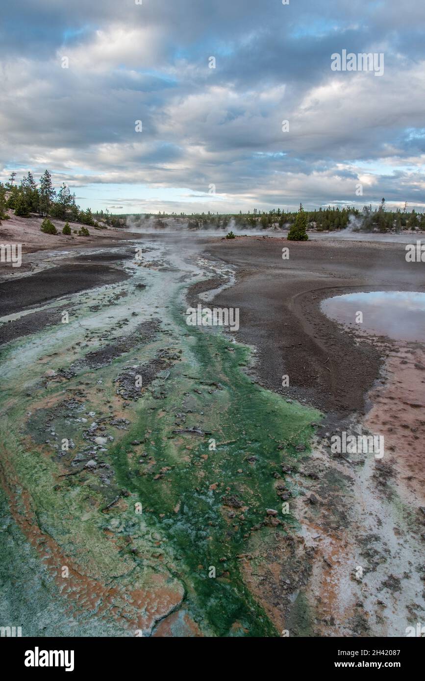 La zona dei pod di fango fumante nel famoso parco nazionale di Yellowstone, Stati Uniti Foto Stock