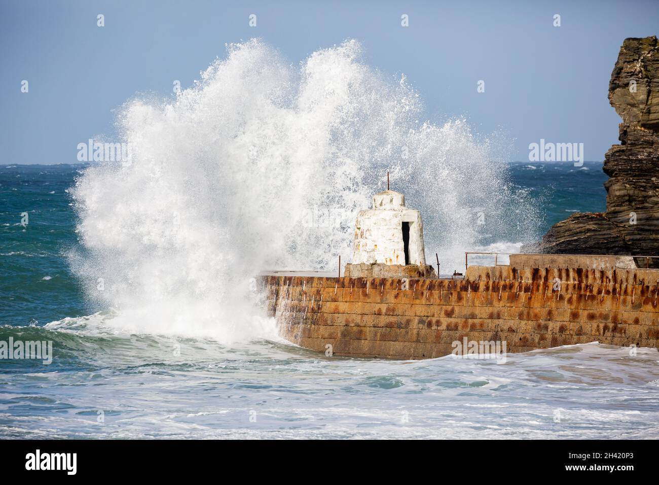 Portreath, Cornovaglia, Regno Unito. 31 ottobre 2021. Gli escursionisti di cani erano fuori per una passeggiata mattutina sulla spiaggia in alta marea a Portreath, Cornovaglia, mentre i surfisti hanno fatto la maggior parte del mare ruvido e grandi onde che si infrangono lungo la parete del porto. Il cielo era blu con sole glorioso e 13C, la previsione è per il tempo umido per i prossimi giorni. Credit: Keith Larby/Alamy Live News Foto Stock