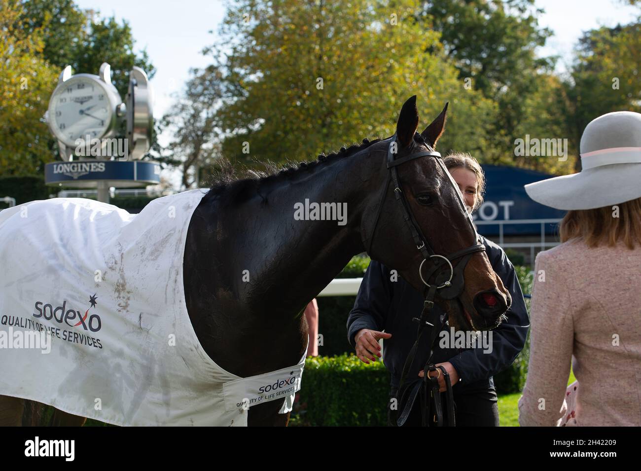 Ascot, Berkshire, Regno Unito. 30 Ottobre 2021. Soaring Glory vincitore della Bateaux London handicap Hardle Race. Credit: Maureen McLean/Alamy Foto Stock