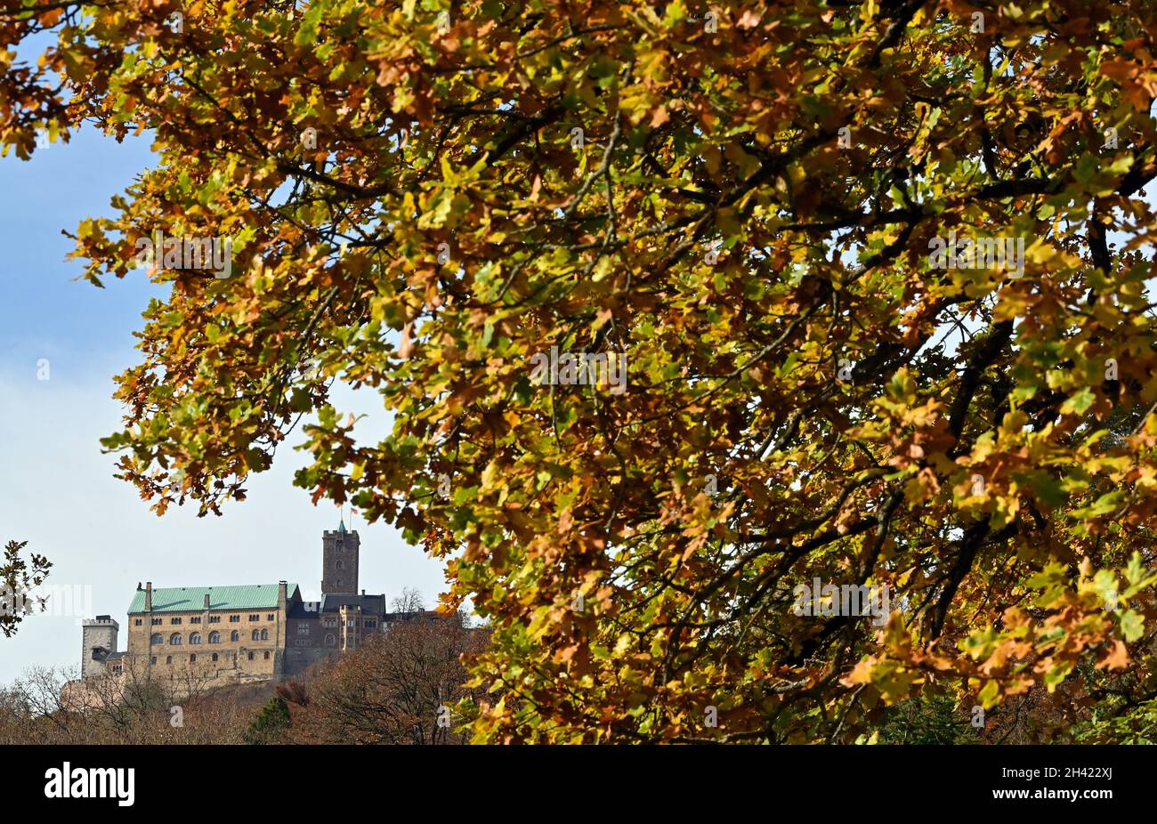 Eisenach, Germania. 31 ottobre 2021. Le foglie autunnali incorniciano il Wartburg il giorno della riforma. In occasione del 500° anniversario della traduzione del nuovo Testamento da parte di Martin Lutero al Castello di Wartburg, la Thüringer Tourismus GmbH (TTG) ha scelto il motto "tradurre il mondo" per l'intero anno 2022. Nella Giornata della riforma di quest'anno, il 31 ottobre, il primo ministro e il sindaco di Eisenach aprirono l'anno del tema del turismo. Credit: Martin Schutt/dpa-Zentralbild/dpa/Alamy Live News Foto Stock