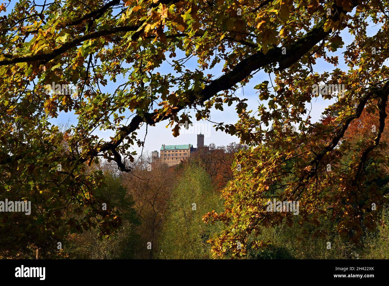 Eisenach, Germania. 31 ottobre 2021. Le foglie autunnali incorniciano il Wartburg il giorno della riforma. In occasione del 500° anniversario della traduzione del nuovo Testamento da parte di Martin Lutero al Castello di Wartburg, la Thüringer Tourismus GmbH (TTG) ha scelto il motto "tradurre il mondo" per l'intero anno 2022. Nella Giornata della riforma di quest'anno, il 31 ottobre, il primo ministro e il sindaco di Eisenach aprirono l'anno del tema del turismo. Credit: Martin Schutt/dpa-Zentralbild/dpa/Alamy Live News Foto Stock