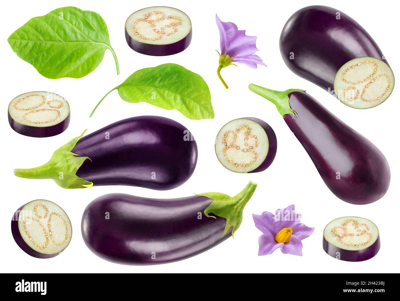 Raccolta di melanzane isolate. Pezzi di melanzane e frutti interi, foglie e fiori isolati su sfondo bianco Foto Stock