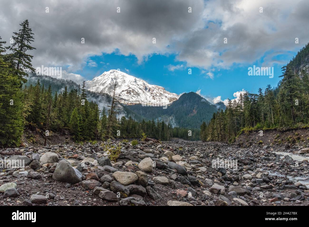 Splendida vista sul monte Rainier dal fiume Nisqually, Stati Uniti Foto Stock