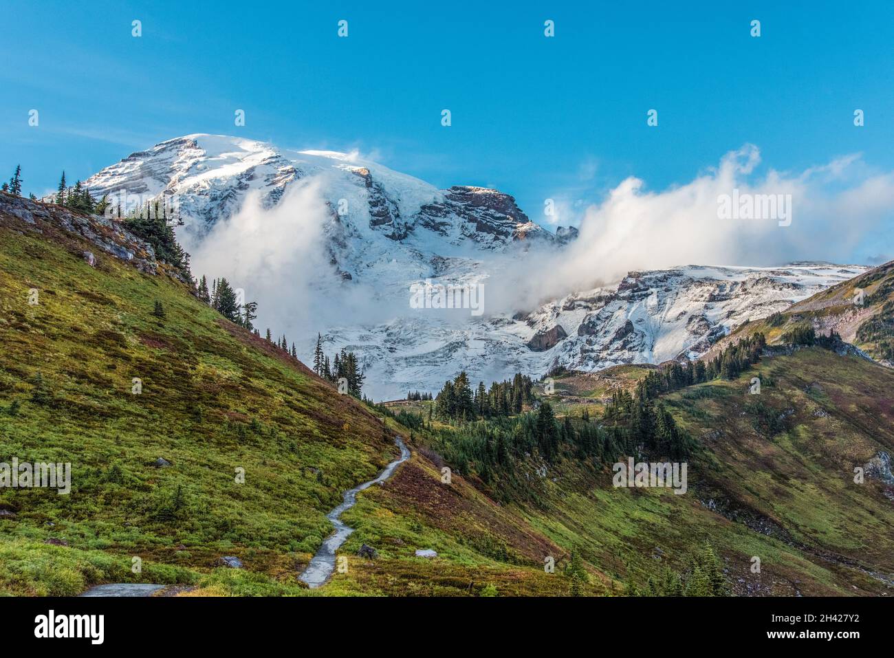 Vista sul magnifico Monte Rainier da Paradise Vista Trail, USA Foto Stock