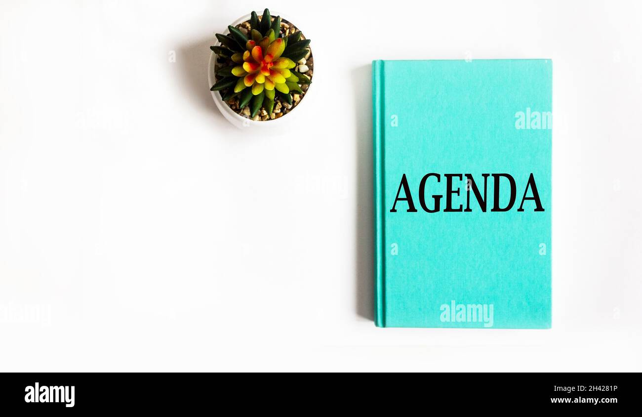 Programma aziendale, concetto di pianificazione. Blocco note verde con testo dell'ordine del giorno su sfondo bianco con cactus. Foto Stock
