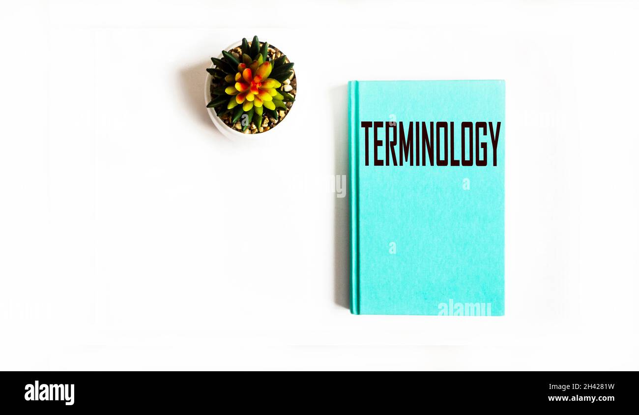 La parola terminologia, scritta su un quaderno verde e isolato sfondo bianco, nelle vicinanze è un fiore di cactus Foto Stock