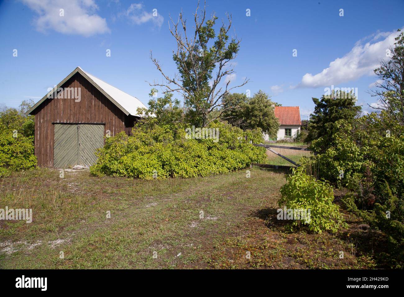 Gotland piccole fattorie e natura con arbusti e ispessimenti Foto Stock