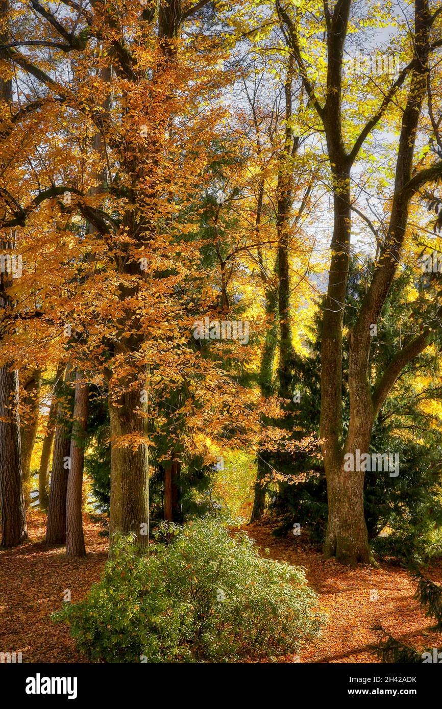 DE - BAVIERA: Autunnale a Bad Toelz (HDR-Fotografia) Foto Stock
