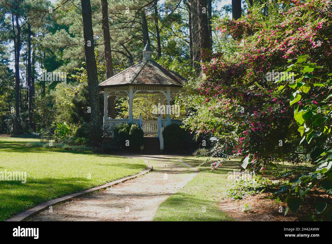 Ambiente tranquillo di un gazebo circondato da alberi e arbusti di fiori con un sentiero che conduce al gazebo Foto Stock