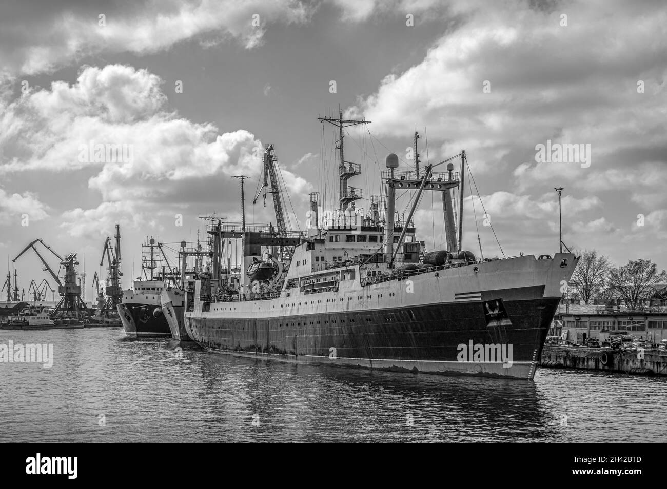 Navi nel porto commerciale sul fiume Pregolya nella città di Kaliningrad, Russia. Vista frontale. Bianco e nero. Foto Stock