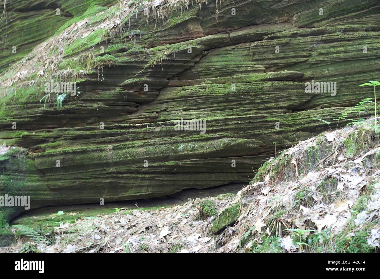 Tour in barca sul fiume superiore, Wisconsin Dells, Wisconsin Foto Stock