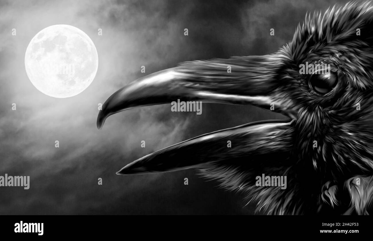 Raven sotto un cielo nero e notturno illuminato da una luna piena. Impostazione gotica. Foto Stock