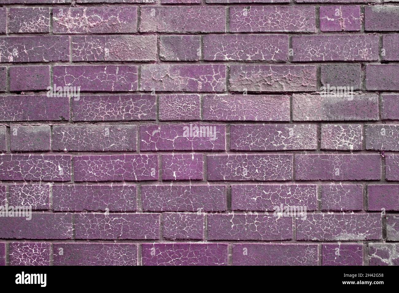 Agosto 2021 - dettaglio in mattoni viola, da utilizzare come texture o sfondo. Foto Stock