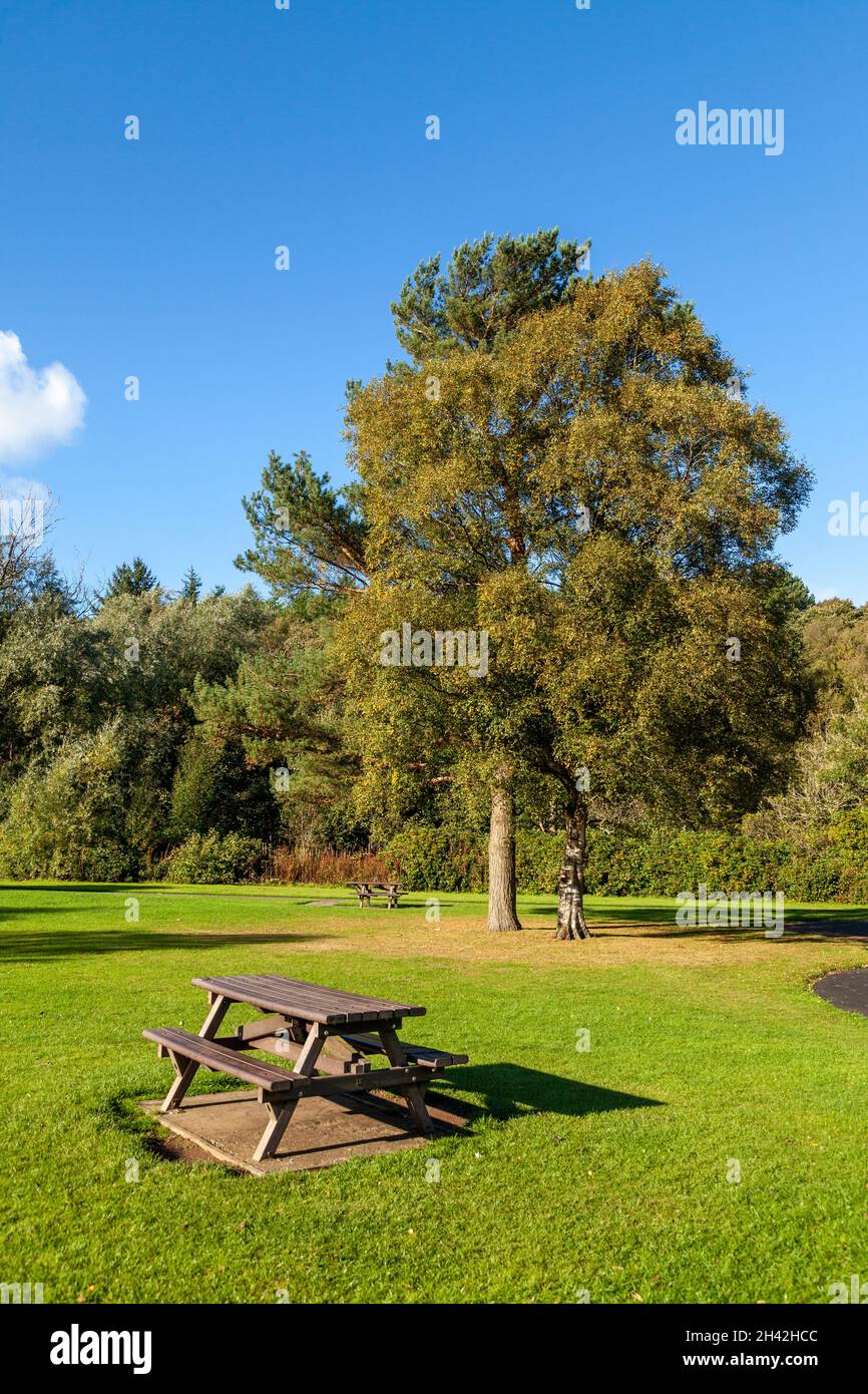 Un tavolo da picnic nel Riverside Park Glenrothes, Fife, Scozia. Foto Stock