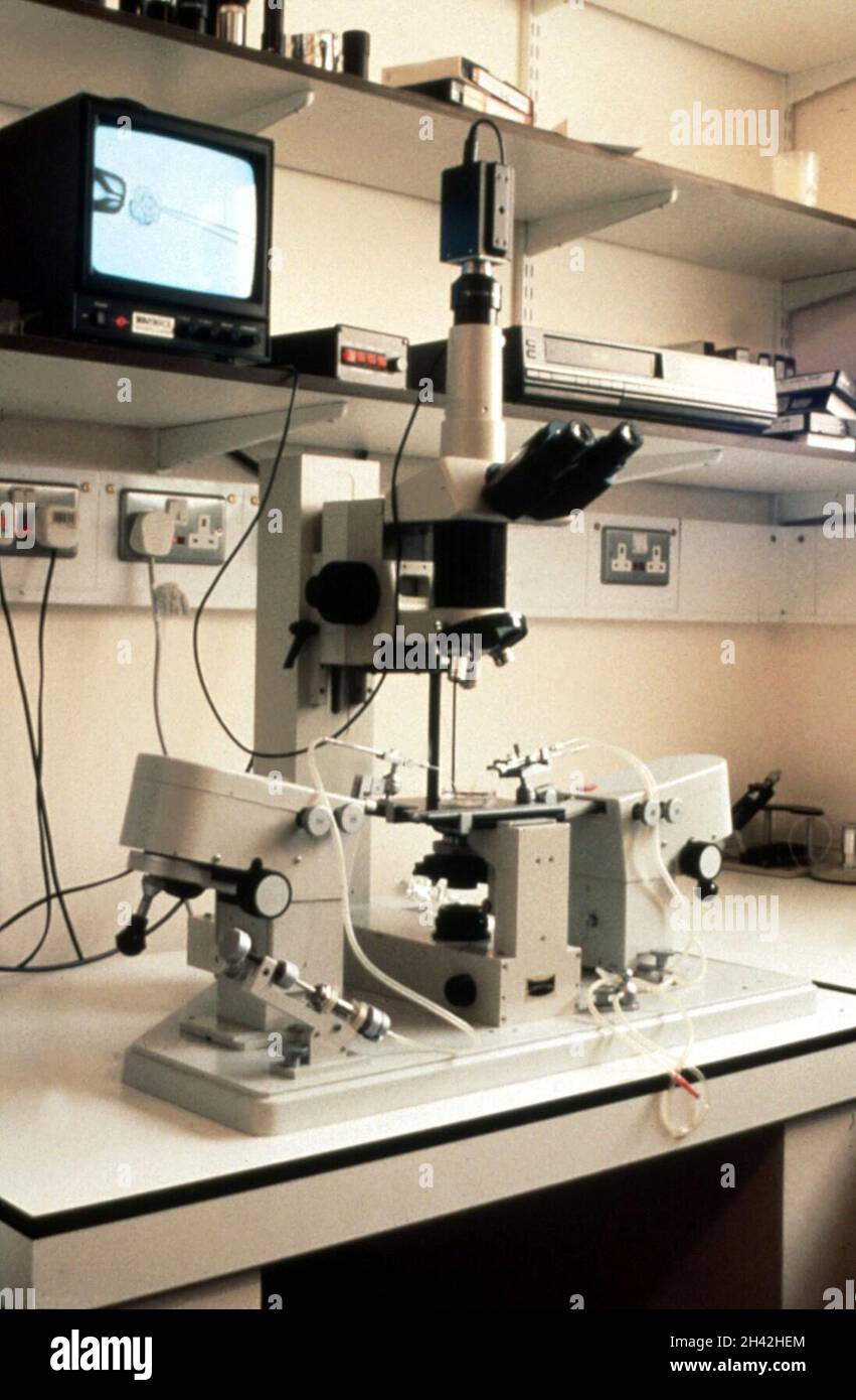 Laboratorio di biopsia embrionale Foto Stock