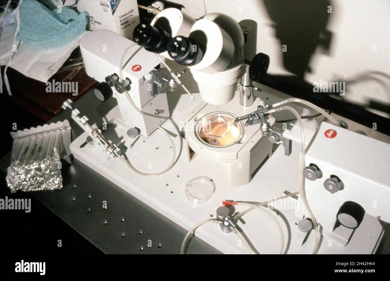 Laboratorio di biopsia embrionale Foto Stock