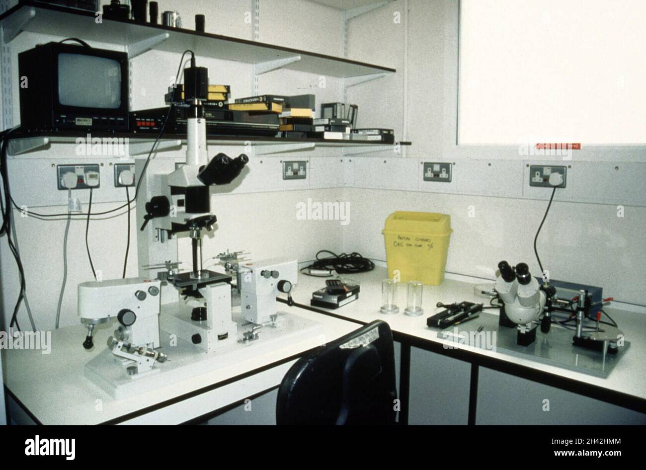 Laboratorio di biopsia embrionale Foto Stock