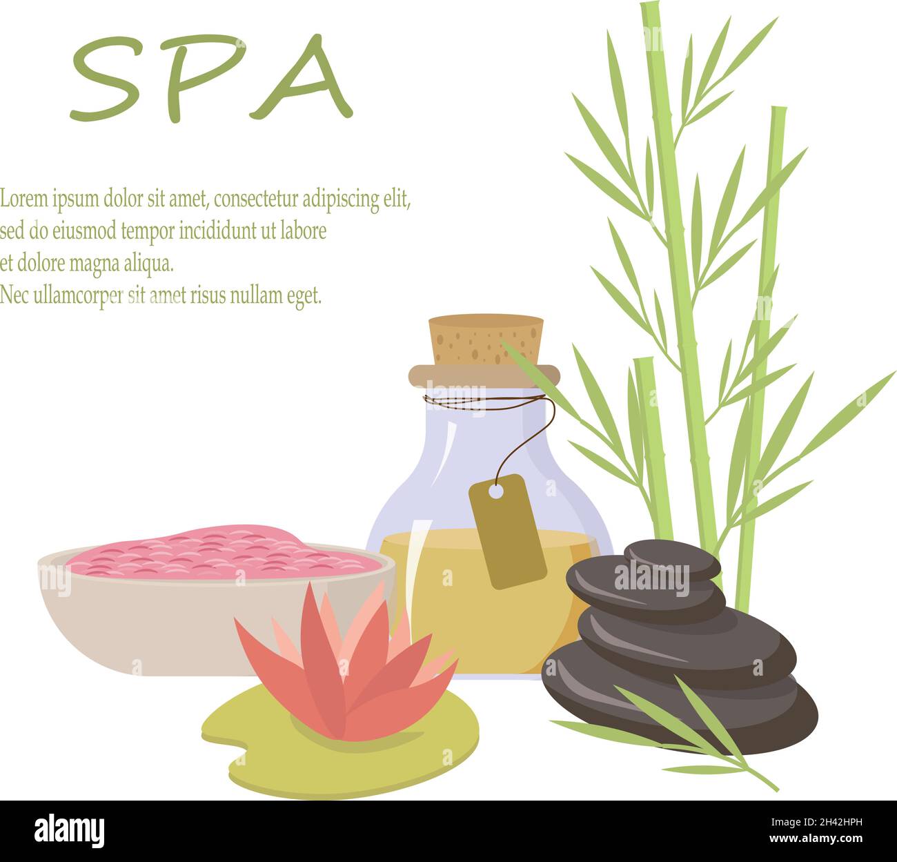 Bottiglie d'olio, pietre, bambù e fragrante illustrazione di sale rosa per trattamenti termali. Illustrazione Vettoriale