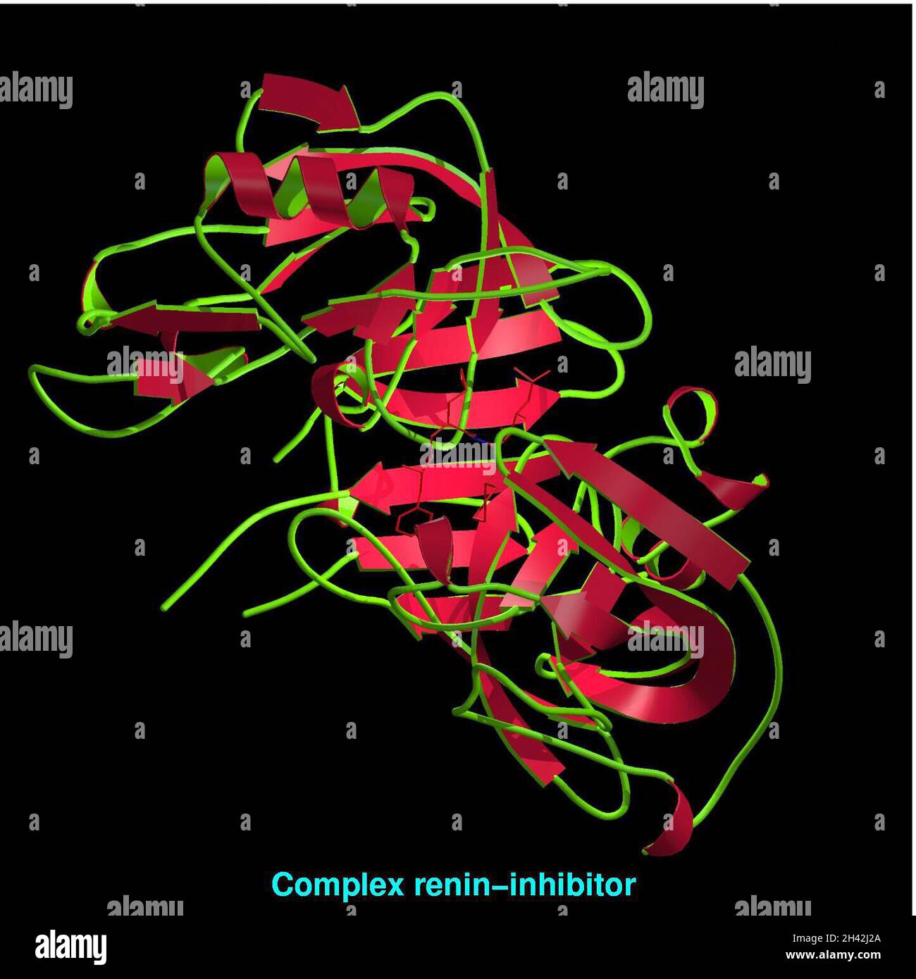 Modello molecolare del complesso di inibitore della renina Foto Stock