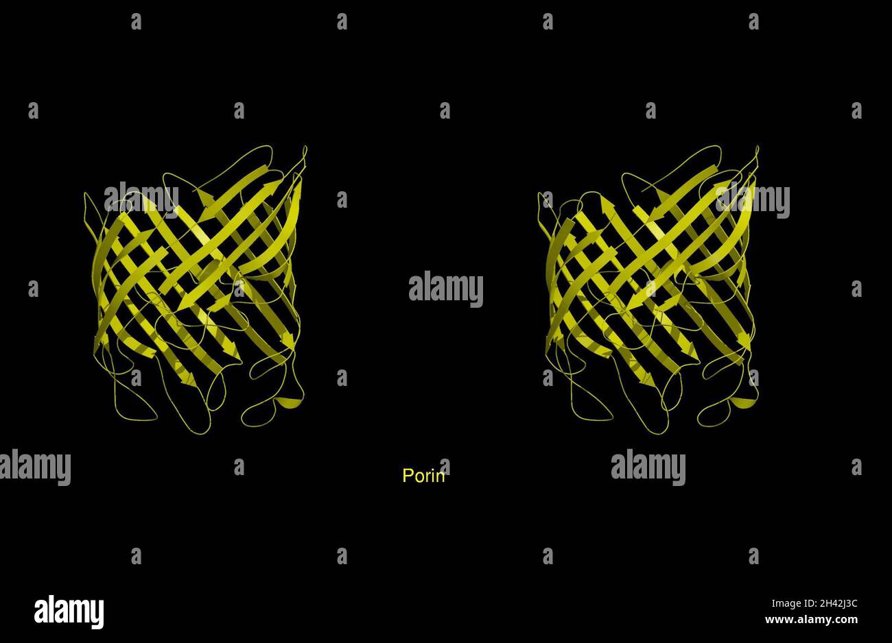 Modello molecolare di porina, stereo, nastro diag Foto Stock