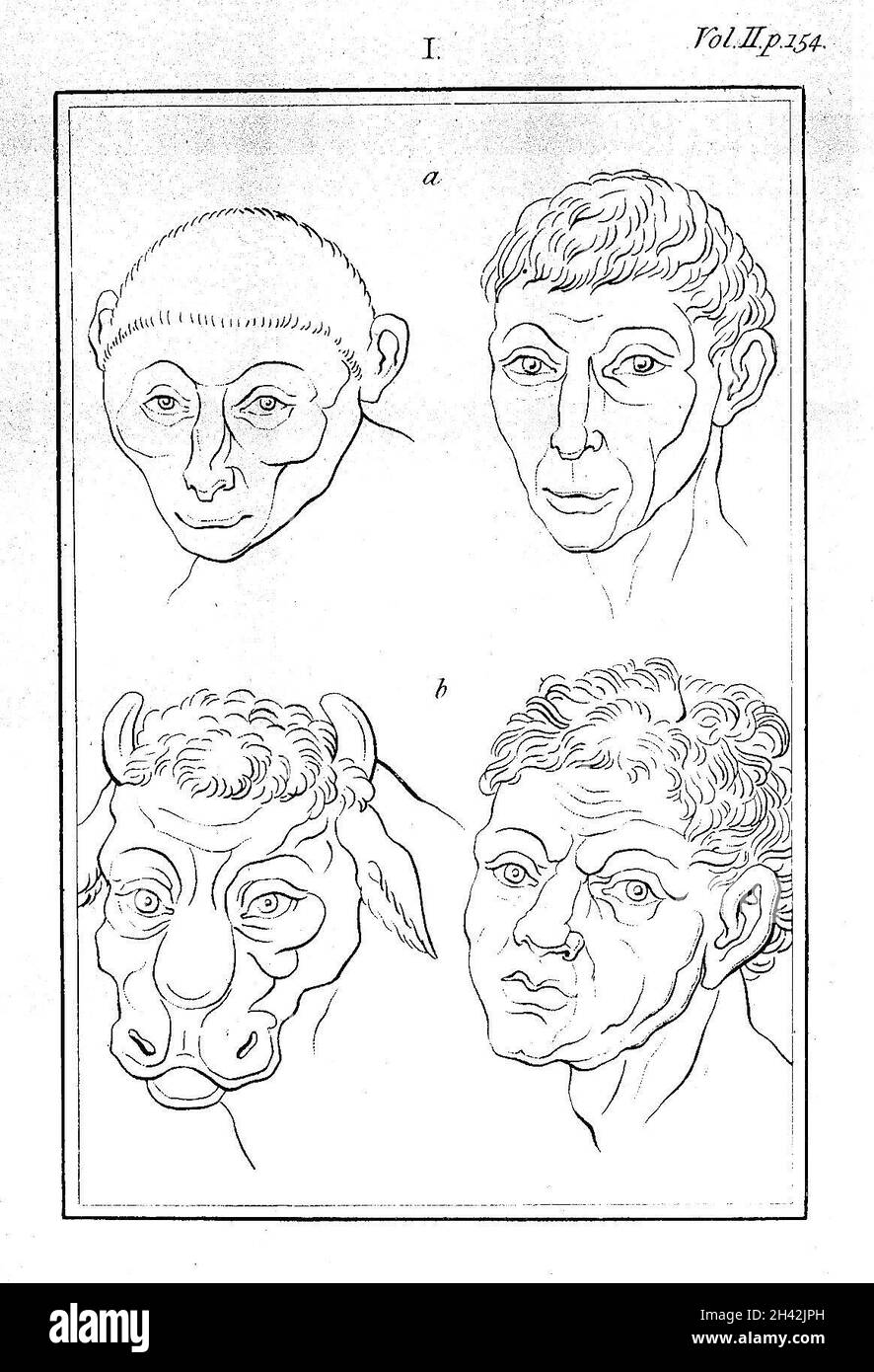 J. C. Lavater, saggi sulla fisiognomia Foto Stock