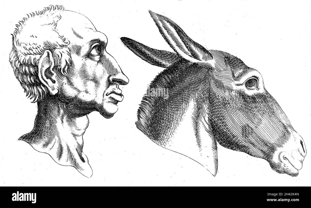 Fisiognomia, 16 ° secolo Foto Stock