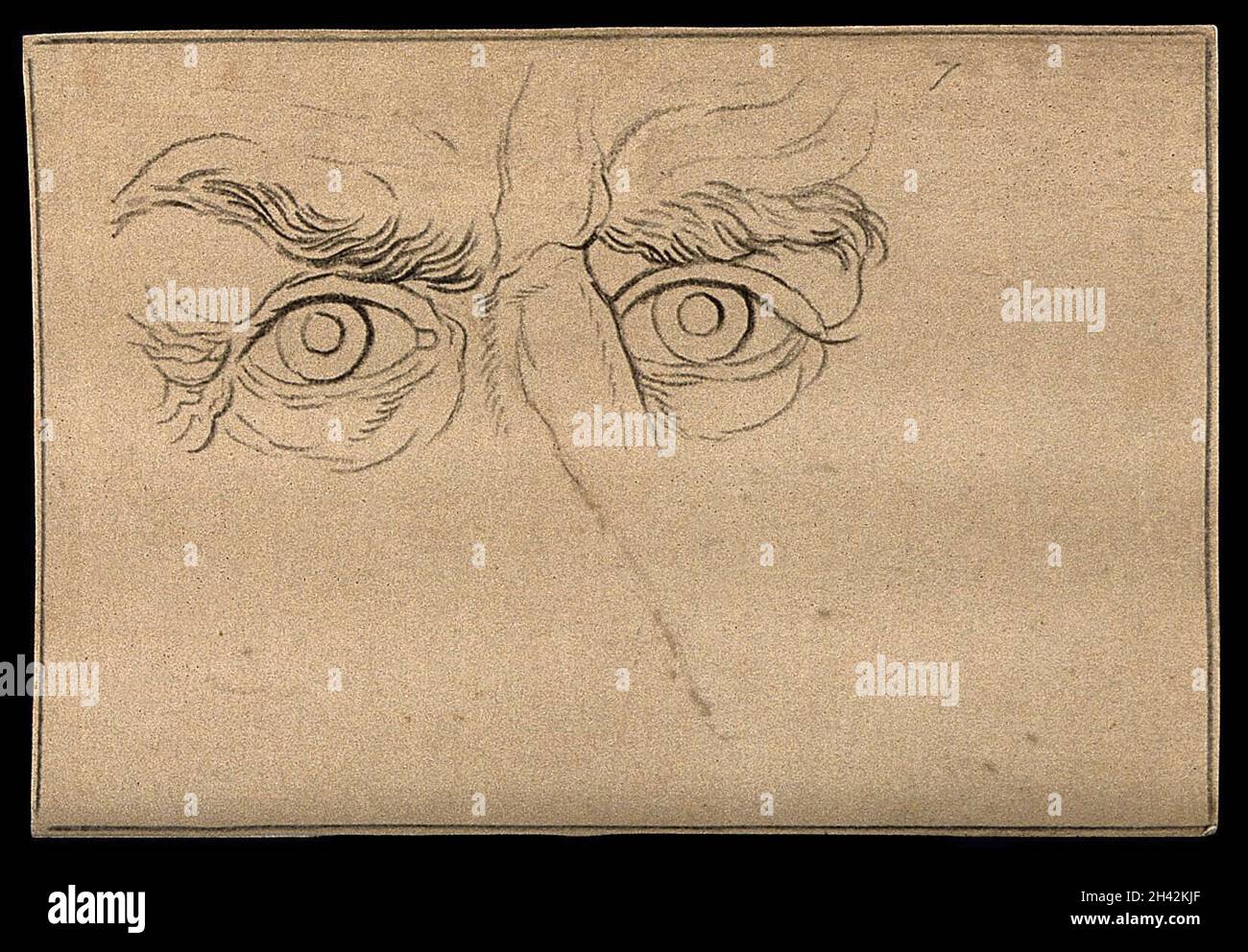 Occhi che esprimono un carattere imperioso e appassionato, secondo Lavater. Disegno, c.. 1794. Foto Stock