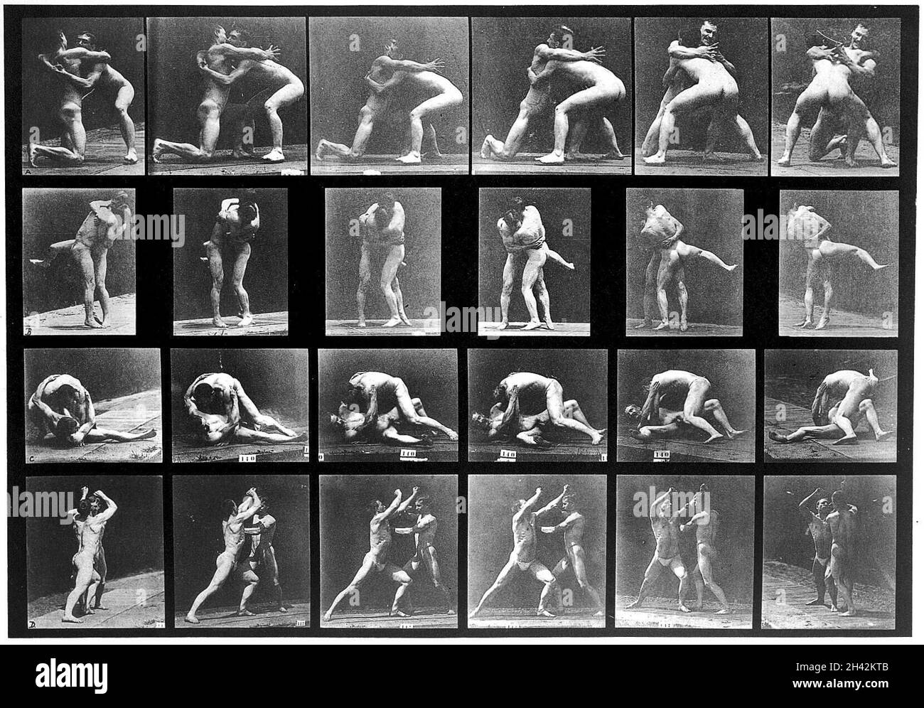 E. Muybridge 'Animal Locomotion', piastra Foto Stock
