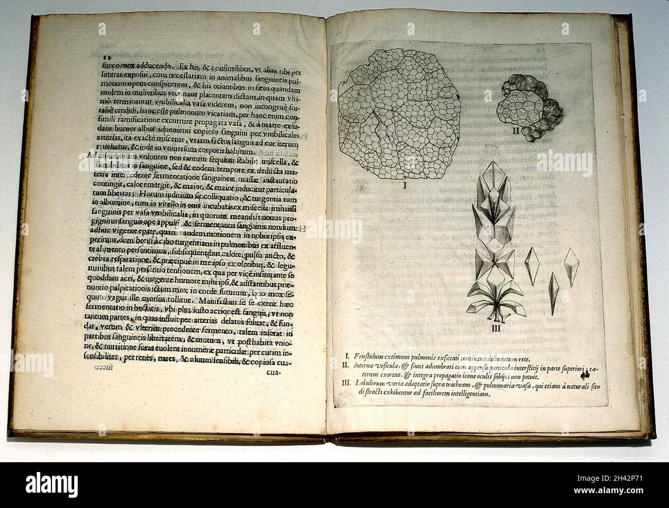 M. Malpighi, 'de pulmonibus...' Foto Stock