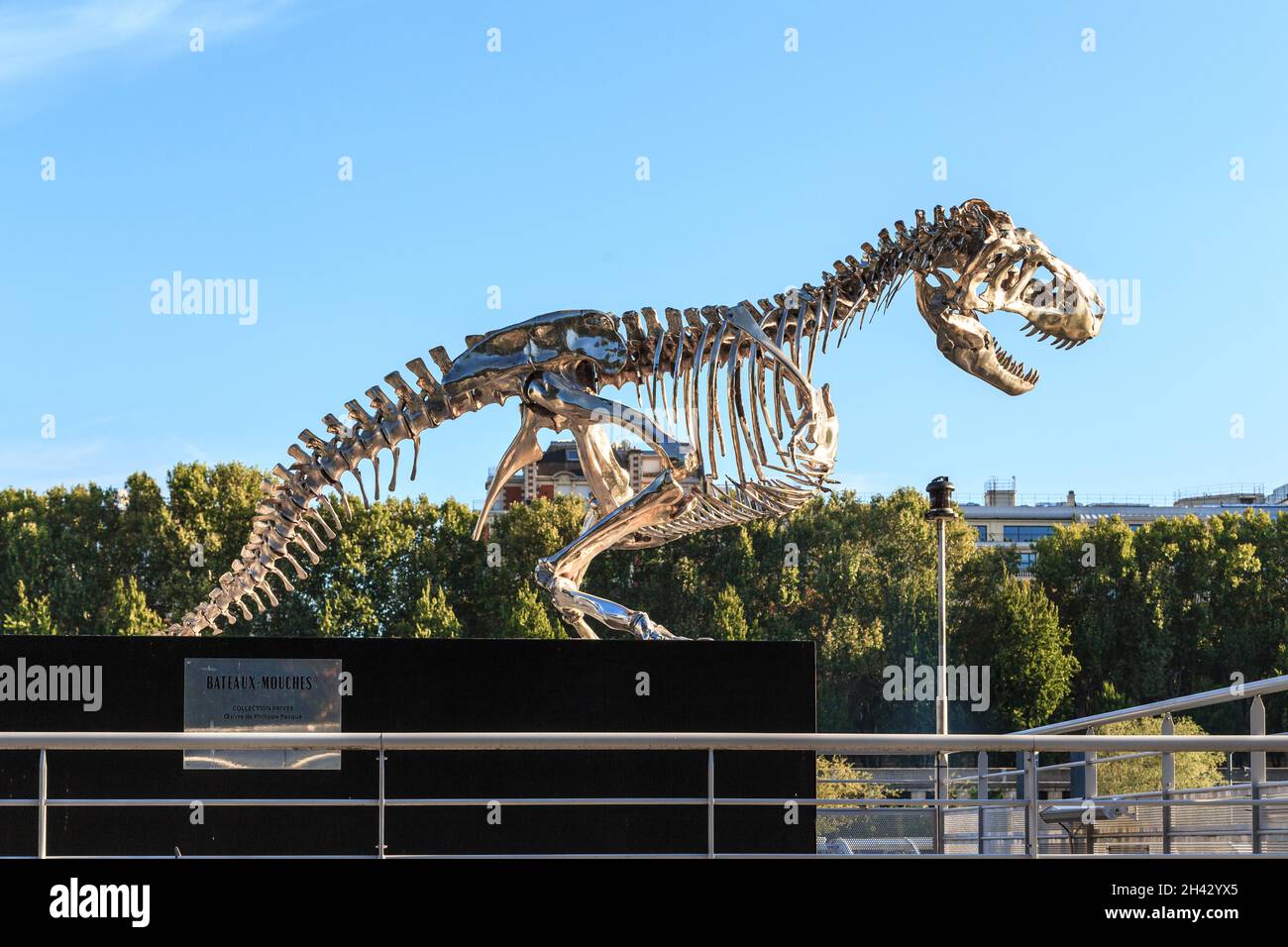 PARIGI, FRANCIA - 30 AGOSTO 2019: Questo è lo scheletro di alluminio cromato di un T Rex (di Philippe Pasqua) vicino al bacino fluviale sulla Senna. Foto Stock